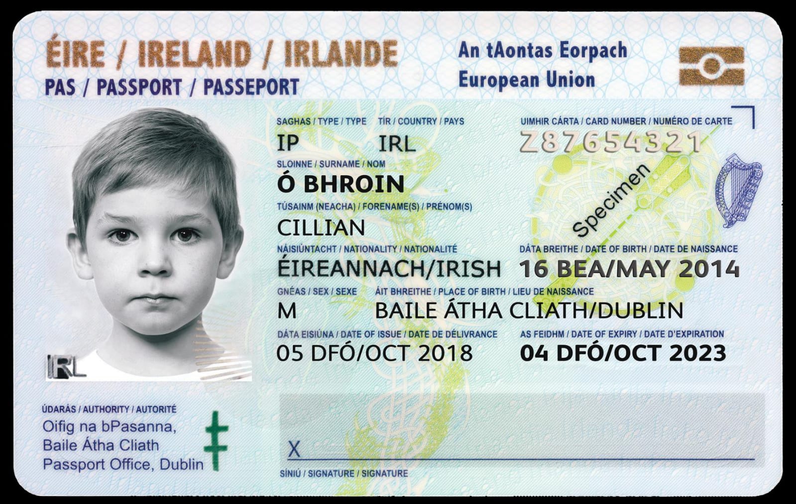 IRISH DRIVING LICENCE BUY IRISH DRIVING LICENCE   WhatsApp Image 2022 11 30 At 5.05.08 PM 