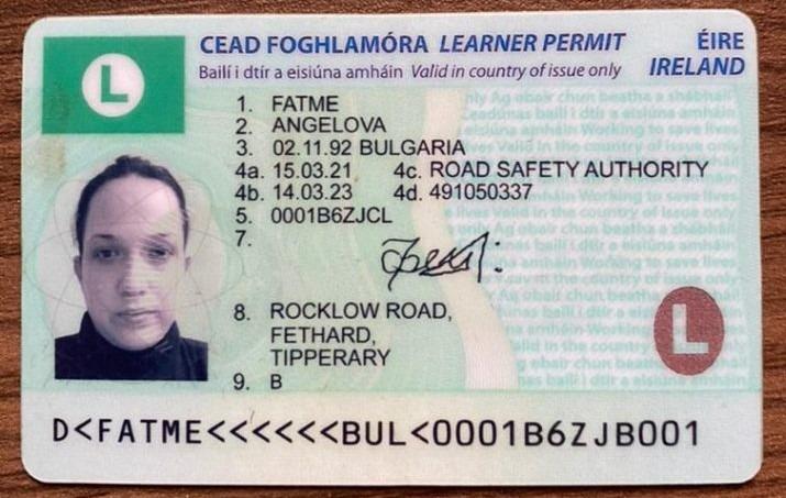 fake learner`s permit