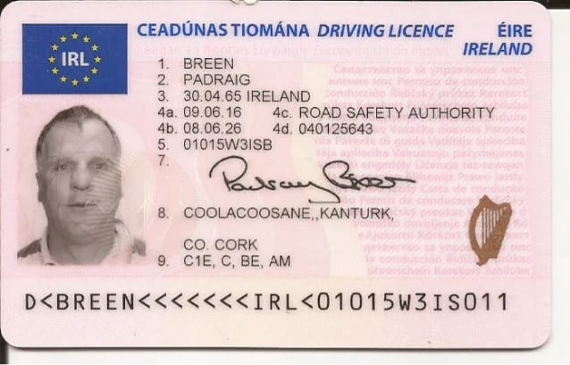 fake irish driving licence